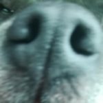 Foto del profilo di Maurizio Marocco